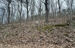 Butterfly Gap Rd, Maryville, TN 37803