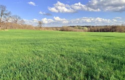 0001 FF Highway, Everton, MO 65646
