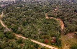 Lot 4 Private Road 4601, Waelder, TX 78959