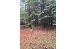 Elk Heights Lane lot: A-2, Heron, MT 59844