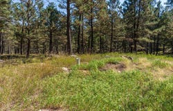 24409 Milo Lane, Keystone, SD 57751