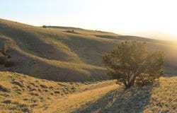 947-7 Freedom, Belfry, MT 59008
