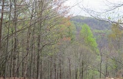 Woodshire Dr lot: 13, Blue Ridge, VA 24064