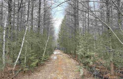 00 COUNTY ROAD J, Wausau, WI 54403