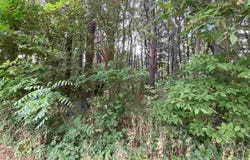 Squire Circle lot: 3, THOMSON, IL 61285