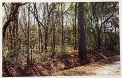 1690 Highway 41, Mount Pleasant, SC 29466