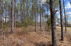 Highway 61, Columbiana, AL 35051