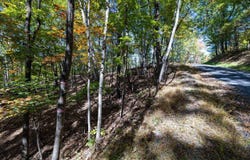 DAWN DR, BASYE, VA 22810