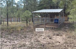 7261 E LONG BOW Drive, Williams, AZ 86046