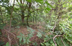 12401 Readings  RD, Gentry, AR 72734