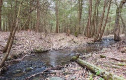 154 Walker Rd, Nineveh, NY 13813