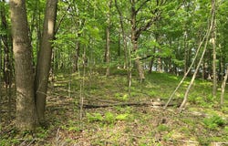 Xxx 120th Avenue, Amery, WI 54001