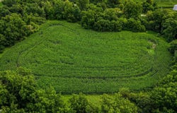 Tbd 210th Street, Wheatland, IA 52777