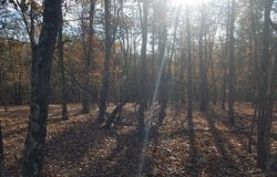 CRYSTAL VALLEY Drive, ROMNEY, WV 26757