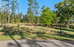 23 McBriar, Purvis, MS 39475