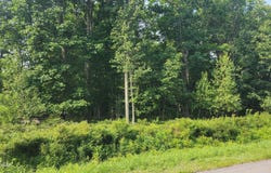 Lot 27 Blue Heron Way, Hawley, PA 18428