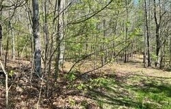 ICHABOD Lane, SHIRLEYSBURG, PA 17260