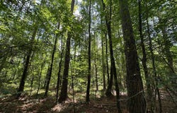 2 Rockport Rd, Lexington, MS 39095