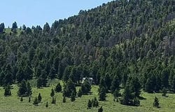 90 Buffalo Lance Road, Cameron, MT 59720