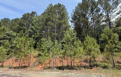 102 Lisa Woods, Eatonton, GA 31024