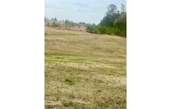 SIPSEY SHORES Dr, Jasper, AL 35503
