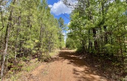 0 Brooklyn Road, Sweet Water, AL 36782