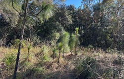 7991 N TINY LILY DRIVE, CITRUS SPRINGS, FL 34434