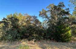 NE 148 Terrace, WILLISTON, FL 32696