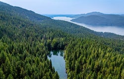 NHN E Lakeshore Drive, Whitefish, MT 59937