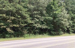 000 N. ROCKINGCHAIR ROAD, Paragould, AR 72450