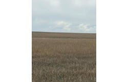 Peoria Crossing Rd, Wiggins, CO 80654