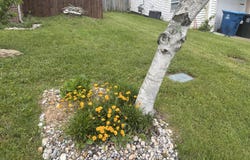 105 Herrington Highway, Georgetown, KY 40324