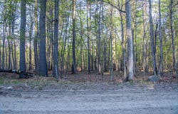 Evergreen Lane, Jay, NY 12941