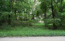 Gale Road, Morrice, MI 48857
