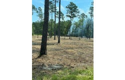 159 Holloway Lane, Register, GA 30452