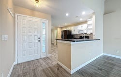 1741 OAK SPRING DRIVE, TARPON SPRINGS, FL 34689