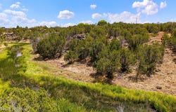 8604 Fox Circle, Show Low, AZ 85901