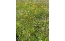 Tract 6 Highway 83, Howe, OK 74940