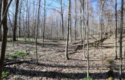 Vl Hoffman Street, Lot#WP001 Street, Vandalia, MI 49095