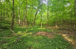 Cruze Rd, Powell, TN 37849