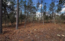 SE 131ST AVENUE, DUNNELLON, FL 34431