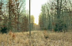 TBD County Road O-A, Mountain View, MO 65548
