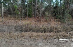 NE 150TH Avenue, WILLISTON, FL 32696