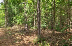 Deer Valley Road, Waterloo, SC 29384