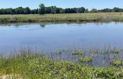 15601 CR 2500, Eustace, TX 75124