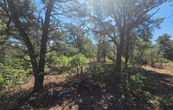 Lot 16 Unit 4, Tierra Amarilla, NM 87575