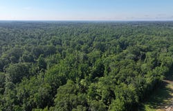 Us-51, Bogue Chitto, MS 39629