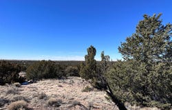 004b N N7411, St. Johns, AZ 85936