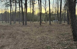 525 E Shore Drive, Drasco, AR 72530