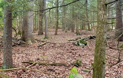 158 Merry Hill Road, Bartonsville, PA 18321